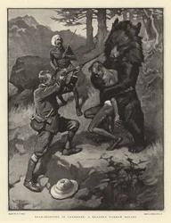 Chasse à l